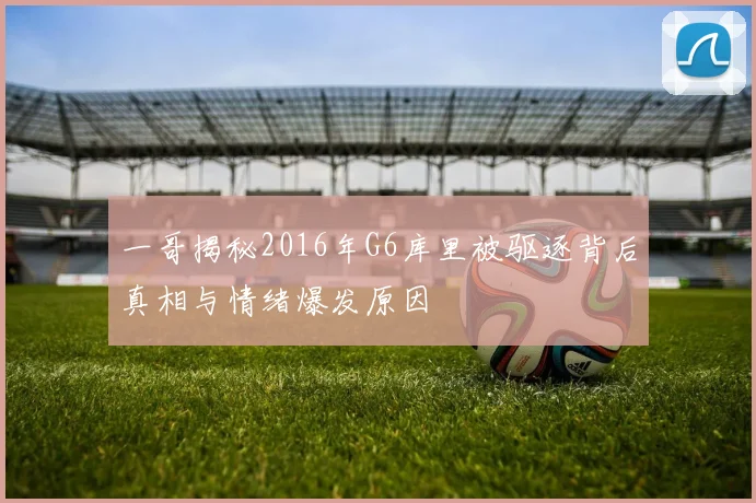 一哥揭秘2016年G6库里被驱逐背后真相与情绪爆发原因
